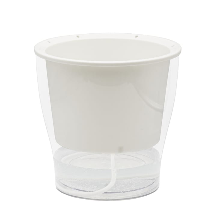 Plastia Vaso Autoinnesca Berberis 30 Cm, Colore Grigio/Verde, Con Indicatore Livello Acqua, Per Interni/esterni - 5