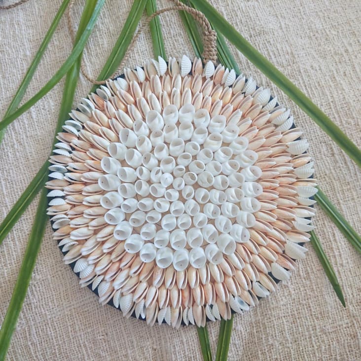Lot De 150 Coquillages Naturels Baker Ross - Idéal Pour Activités Manuelles Enfants, Décoration Créative