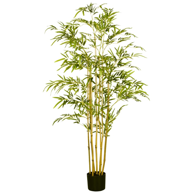 HOMCOM Pianta artificiale, 180 cm, albero di bambù | WhichOne
