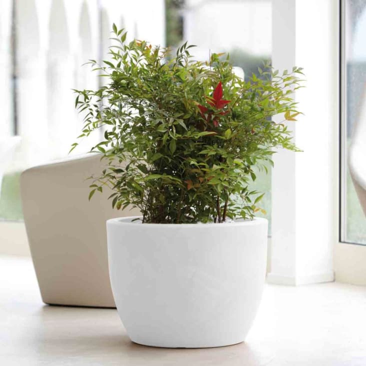 Acan Fioriera Rettangolare Bianca In Plastica, 10 X 24,7 X 13 Cm - Foto 9