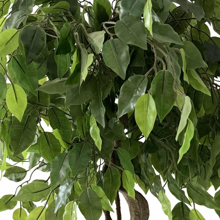 Pianta artificiale senza vaso Ficus H 120 | Leroy Merlin