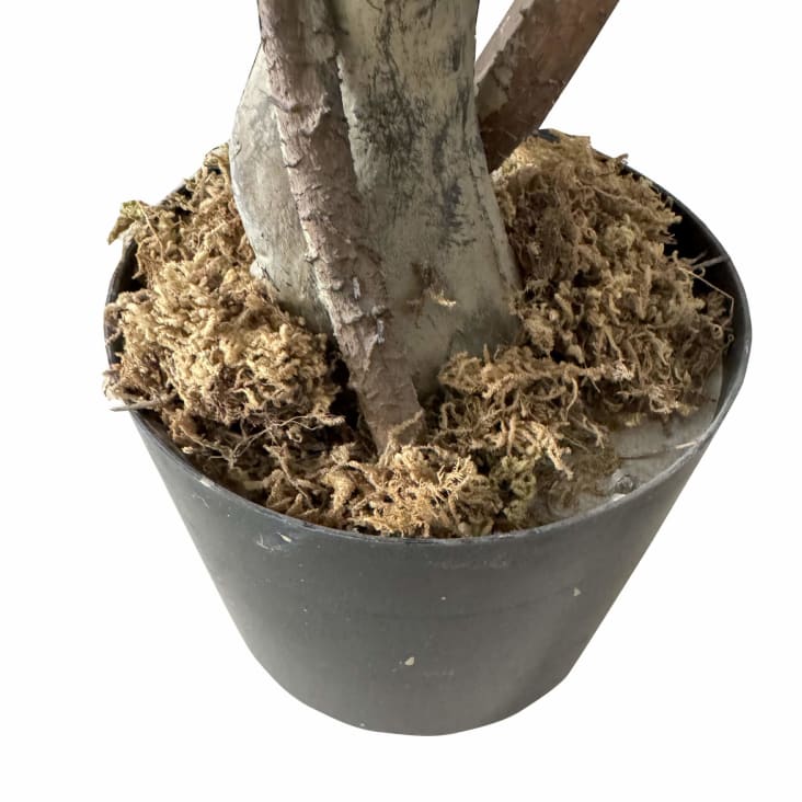 Pianta artificiale Ficus 105 cm con vaso di 14,5 cm | Leroy Merlin