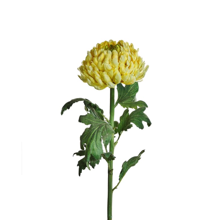 Piccolo Bouquet Modesto Di Crisantemi Bianchi Lussureggianti In Un Vaso Di Vetro Su Un Tavolo Di Legno Bianco Per Dare Fiori E Decorazioni Floreali Per La Casa Copiare Lo Spazio - Fotografie