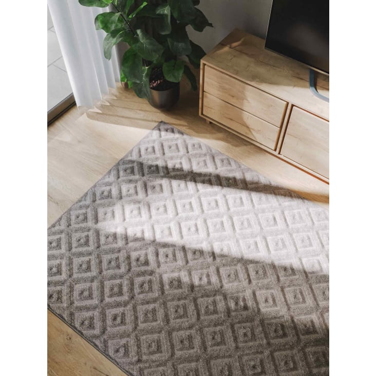 Teppich hellgrau 300x400 Leo Maisons du Monde
