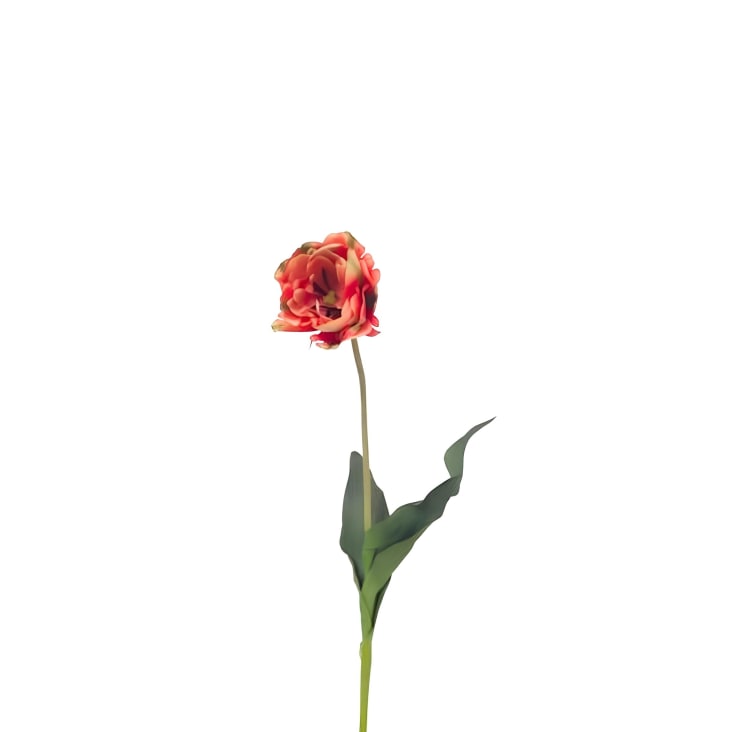Arreglo Tulipán Naranja - Lu Floreria
