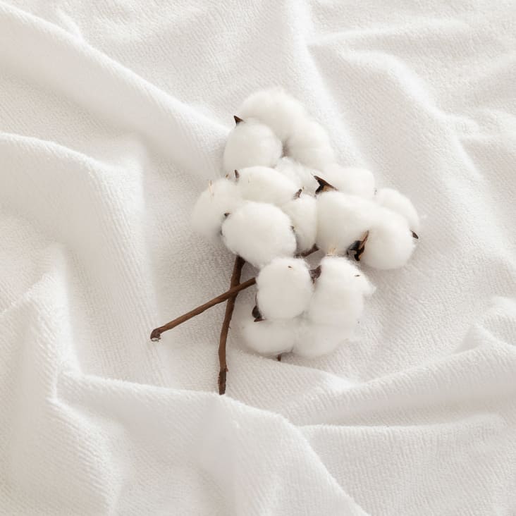 Piège à Chenilles Processionnaires Du Pin - Collier Avec Sac Collecteur - Circonférence Arbre Jusqu'à 1,30 M - Solution Écologique