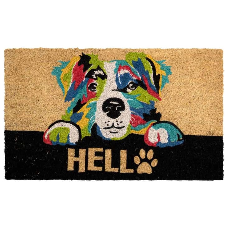 Catit Vesper Zerbino V-rug 28x38 Cm - Tappetino Per Lettiera Alta Per Gatti - Foto 4