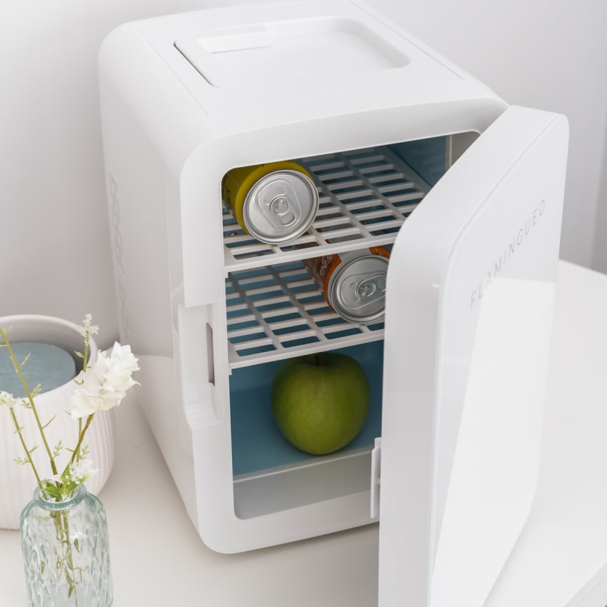 Flamingueo Mini Frigo 10L Avec Miroir LED - Frigo Cosmétiques Chaud/Froid 12V/220V, Parfait Pour Skincare Et Chambre