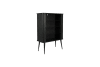 Cabinet 2 portes en bois noir