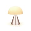 Lampe LED portable medium en aluminium or