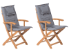 Lot de 2 chaises de jardin avec coussins gris foncé
