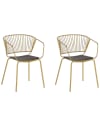 Conjunto de 2 sillas de metal dorado negro