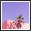 Affiche photo pink palma avec cadre noir 30x30cm