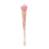 Gerbes de blés séchés rose 70cm