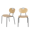 Lot de 2 chaises en bois et métal marron