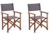 Conjunto de 2 sillas de jardín madera oscura gris