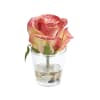 Rose en illusion d'eau artificielle blanche H12