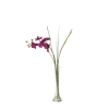 Decovego Orchidea Artificiale Con Vaso 75 Cm Bianco – Pianta Finta Realistica, Flessibile E Senza Manutenzione