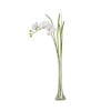 Orchidée en illusion d'eau artificielles blanche H65