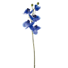 Tallo de orquídea phalaenopsis azul h47