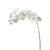 Tallo de orquídea phalaenopsis artificial blanca h100
