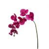 Tige d'orchidée phalaenopsis artificielle fuchsia H82