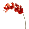 Tallo de orquídea phalaenopsis artificial roja h100