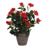 Künstlicher roter Rosenstrauch im Blumentopf, H33