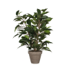 Ficus natasja artificiale verde in vaso alt.40