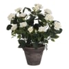 Künstlicher weißer Rosenstrauch im Blumentopf, H33