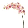 Tige d'orchidée phalaenopsis artificielle rose H104