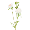 Tige de scabiosa fleurie artificielle blanche H59
