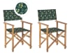 Lot de 2 chaises Bois Vert foncé