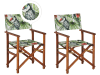 Lot de 2 chaises Bois Vert