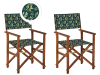 Lot de 2 chaises Bois Vert foncé