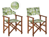 Lot de 2 chaises Bois Vert clair