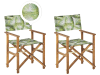 Lot de 2 chaises Bois Vert clair