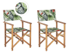 Lot de 2 chaises Bois Vert