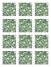 Azulejos Adhesivos 48 Baldosas de 15x15cm Piedras Color Verde
