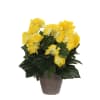 Begonia artificial amarillo en maceta alt. 30