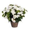 Begonia artificiale bianco in vaso alt.37