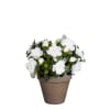 Künstliche weiße Azalee im Blumentopf, H31