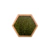 Tableau végétal hexagonal mousse 16 x 16 cm