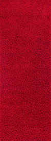 Alfombra de pasillo shaggy moderna rojo 80x220
