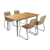 Table de jardin métal savane + 4 chaises beiges