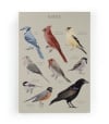 Peinture sur toile 60x40 Imprimé oiseaux