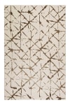 Tapis plat à motif et relief beige et brun 120x170