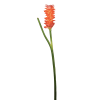 Tige de gingembre en fleur artificielle orange H99