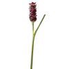 Fiore artificiale di zenzero violetto H99