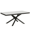 Tavolo in legno da pranzo, Allungabile fino a 440 cm, Bianco Frassino